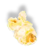 popcorn-piece-1 - img new