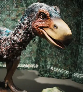 Notable VFX-2 - img new