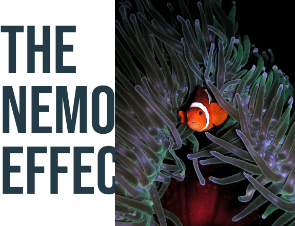 the-nemo-effect