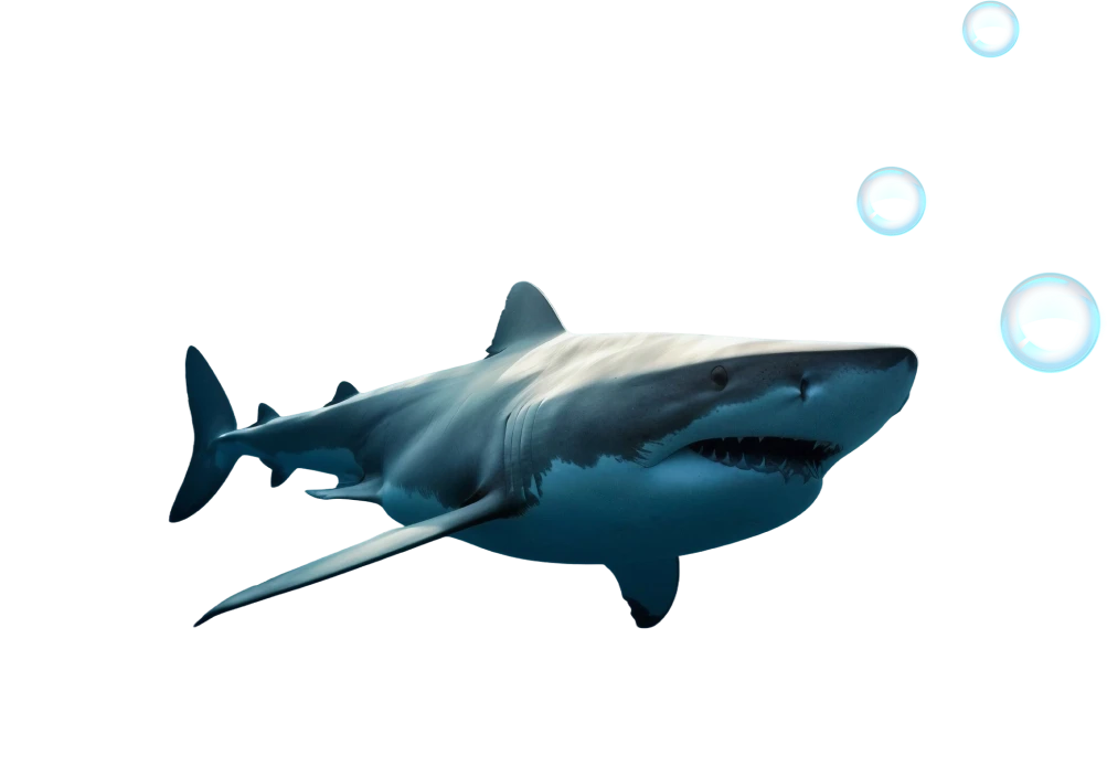 Ocean & Sea Documentaries 1