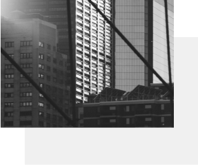 Top Animation In Their Category 4