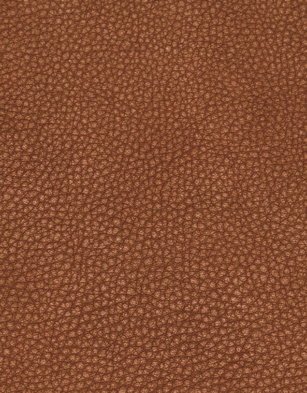 Top Grain Leather