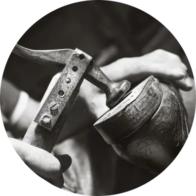 italian leather - img new