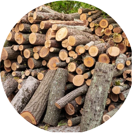 Final Dimension Image_