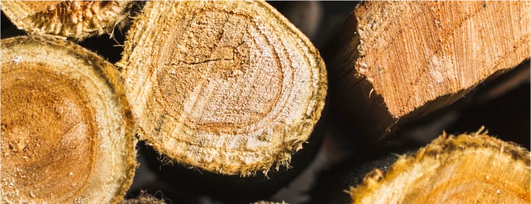 Kills Insects Furniture_