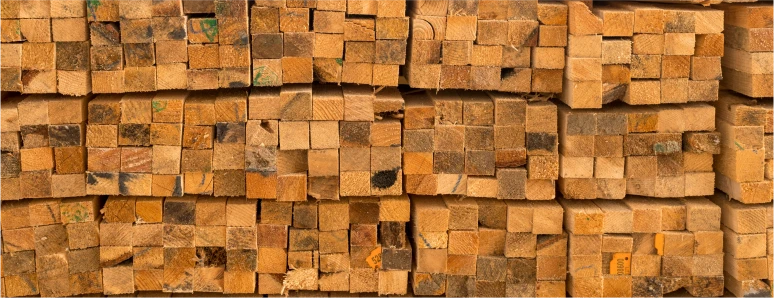 Kiln Drying Fungal Decay_