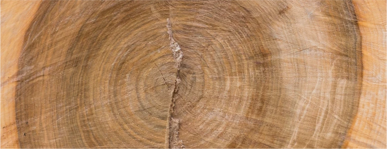 Kiln Drying Prevents Durable Furniture_