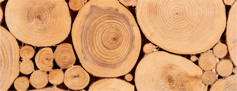 Moving Furniture Image_