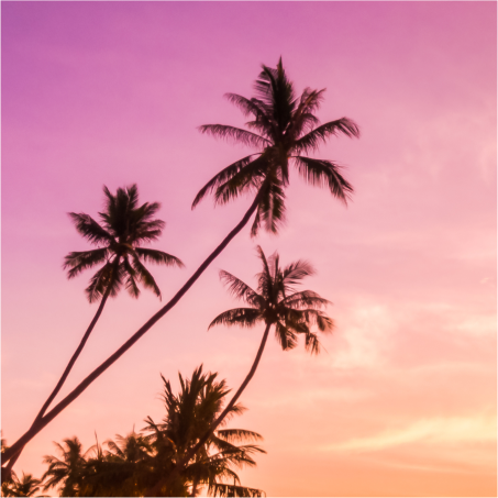 Celebrating Diversity and Resilience -2