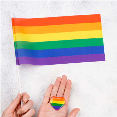 Navigating LGBTQ+ Histories and Narratives -3