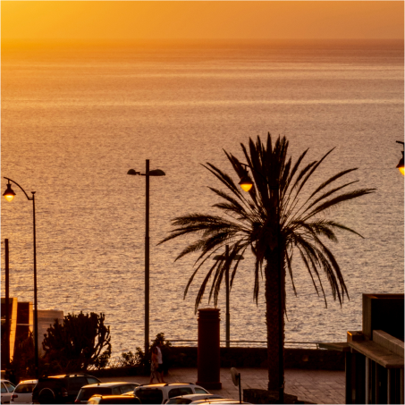 Shaping Social Discourse and Cultural Change-2