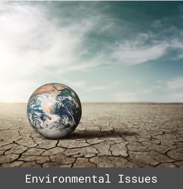 environmental issues