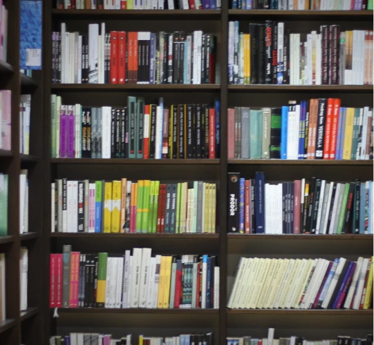 Transformative Impact on Literature & Film