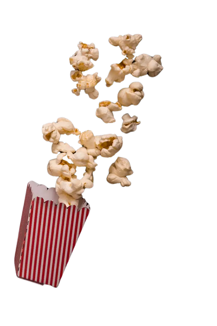 popcorn-packet-2
