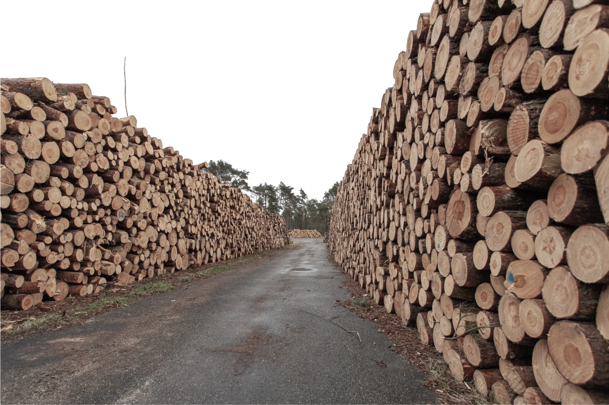 Type Of Kilns Image_