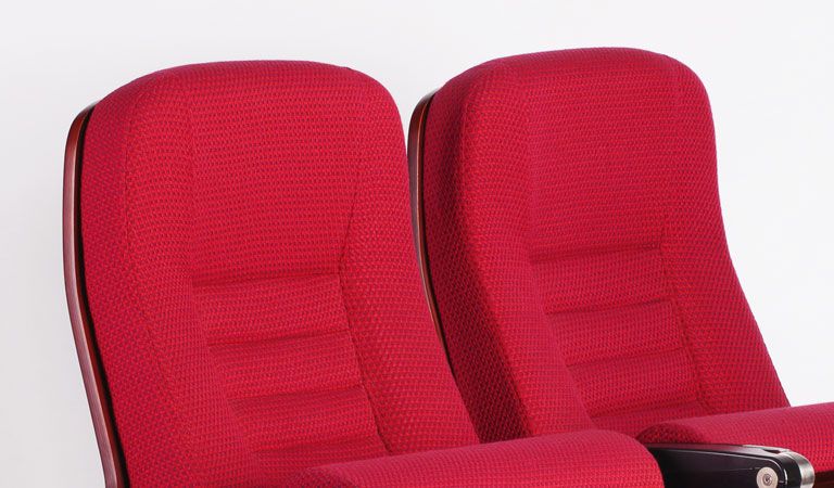 dual seat stadium